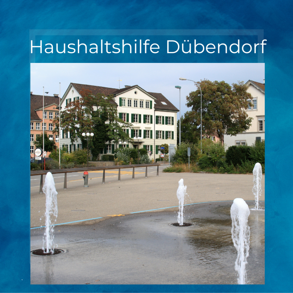 Cleaning job in Dübendorf