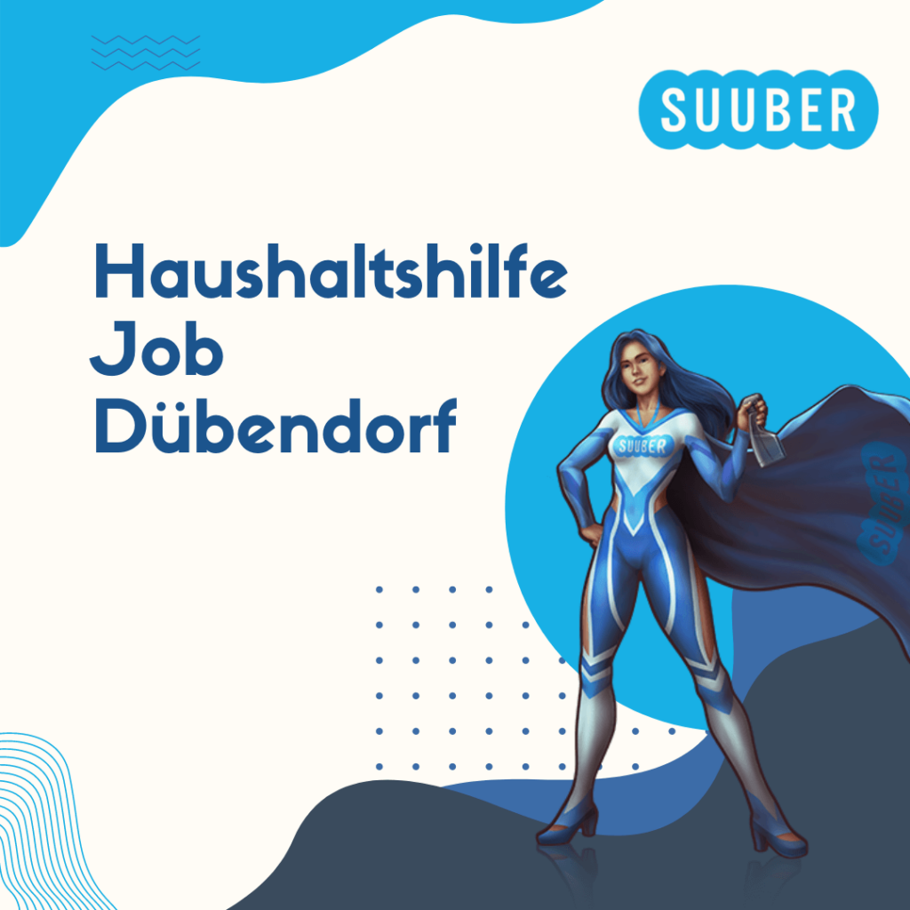 Domestic help job Dubendorf