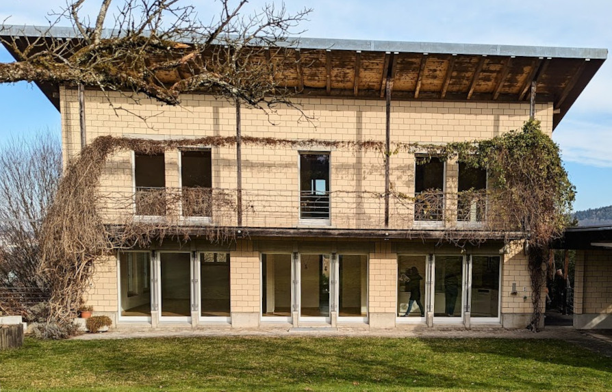 Immagine in primo piano