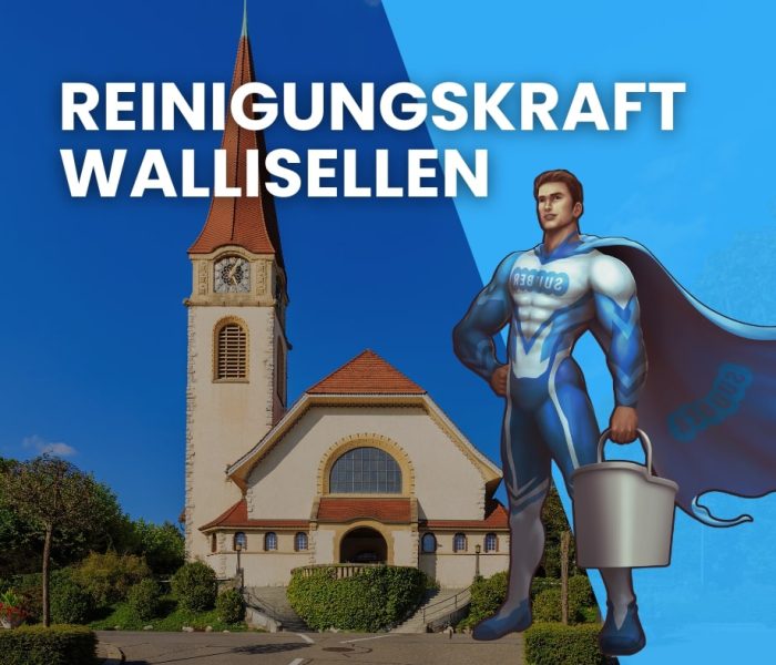 putzfrau wallisellen