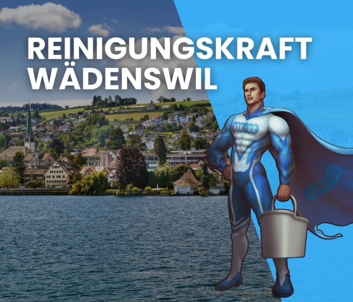 temizlikçi bayan wädenswil