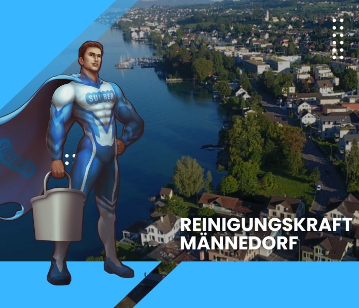 temizlikçi bayan männedorf