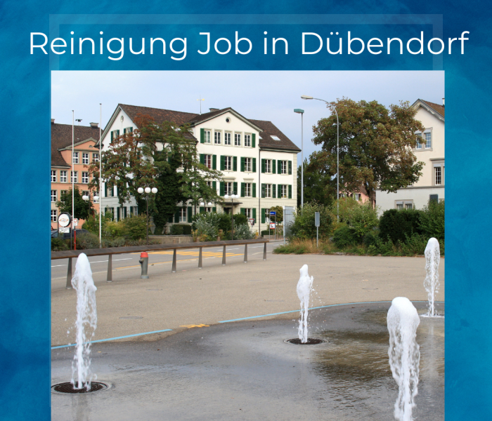 Trabajo de limpieza en Dübendorf