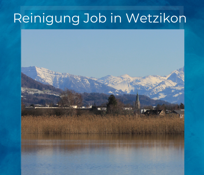 Reinigung job in Wetzikon