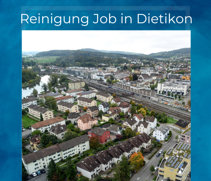 Emploi de nettoyage à Dietikon