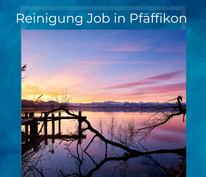 Emploi de nettoyage à Pfäffikon