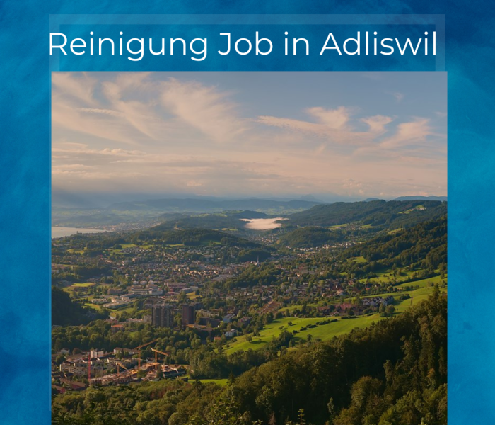 Reinigung Job in Suuber Adliswil