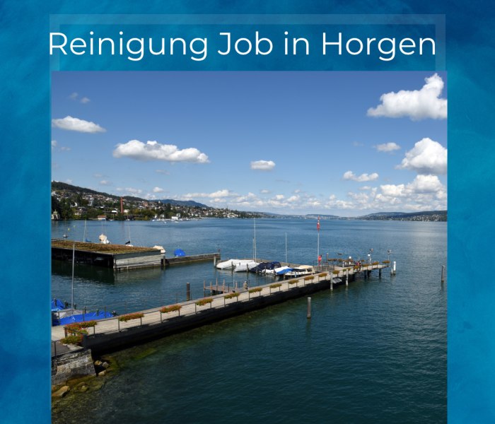 Reinigung Job in Horgen