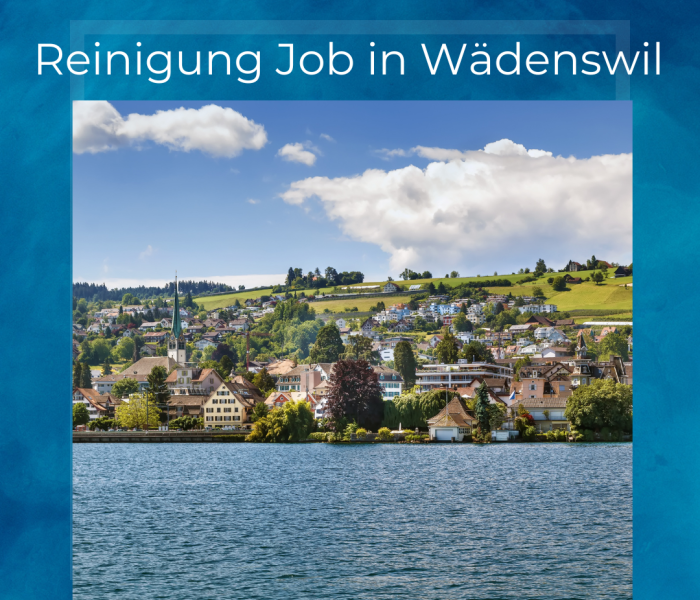 Cleaning job in Wädenswil