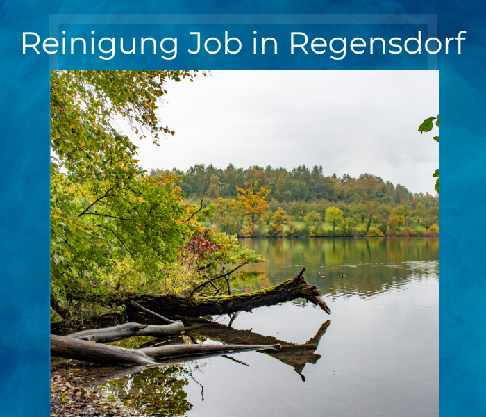 Reinigung Job in Regensdorf