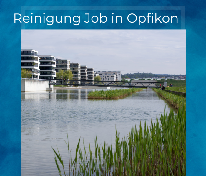 Reinigung Job in Opfikon