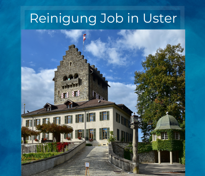 Reinigung Job in Uster