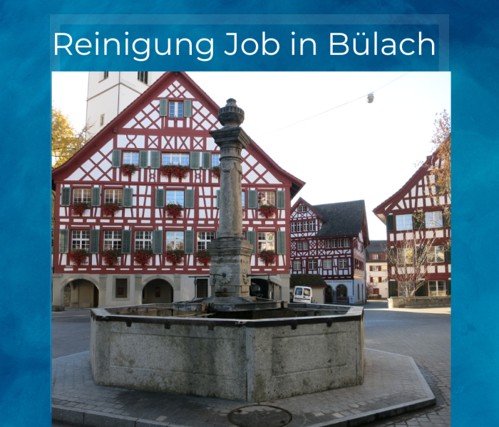 Emploi de nettoyage à Bülach