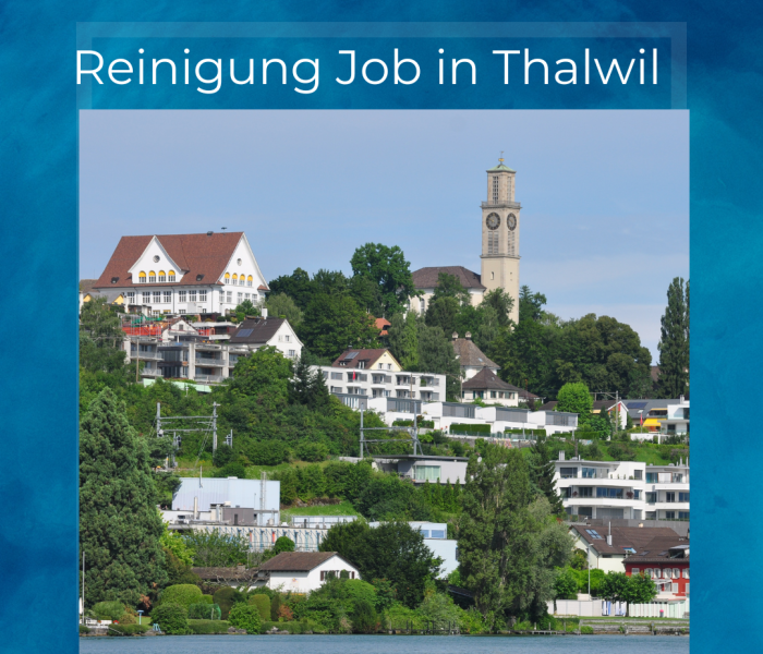 Trabajo de limpieza en Thalwil