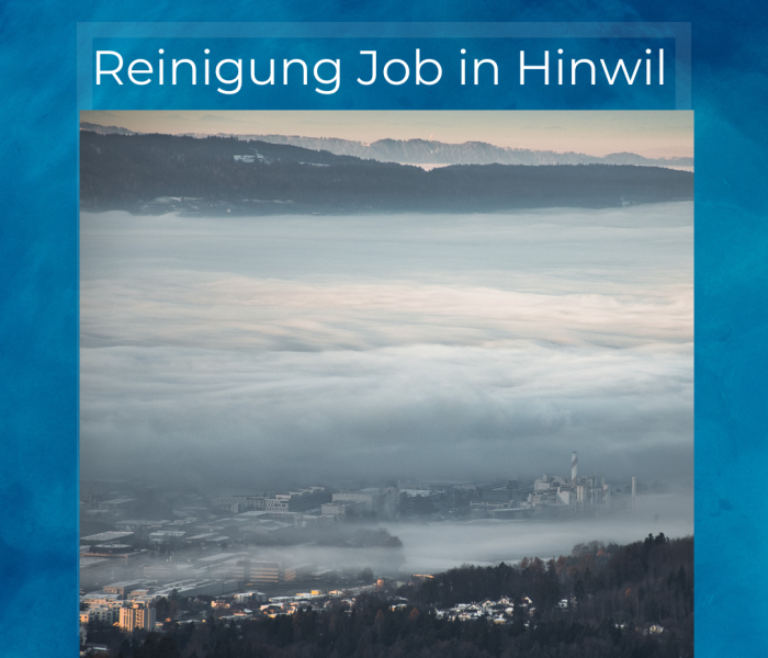 Emploi de nettoyage à Hinwil