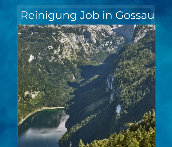 Reinigung Job in Gossau