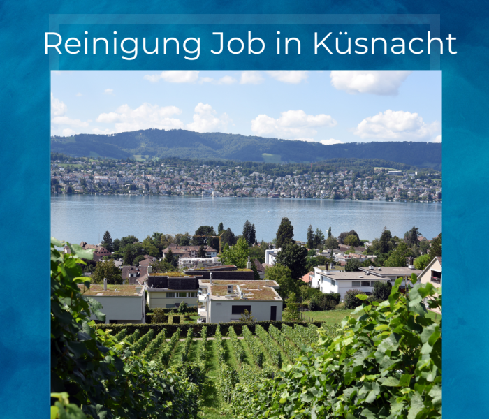 Reinigung Job in Küsnacht