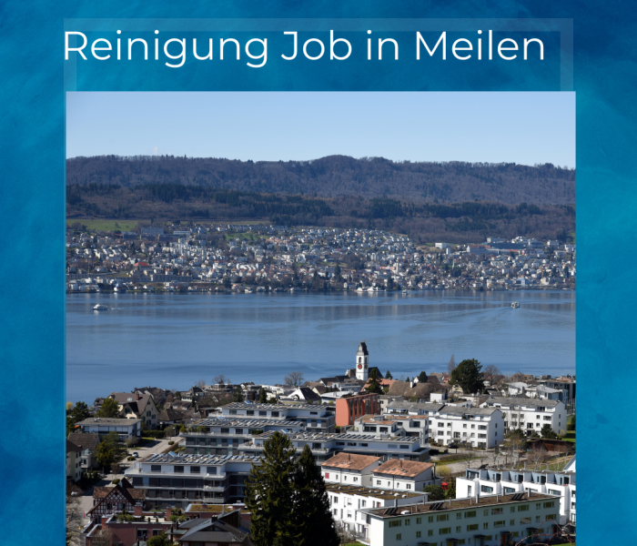 Trabajo de limpieza en Meilen