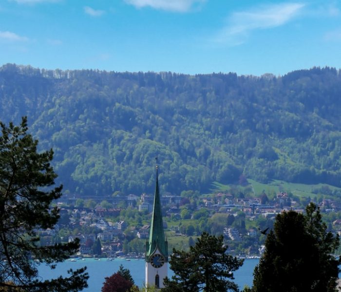 Putzfrau Zollikon Putzfrau Zollikon
